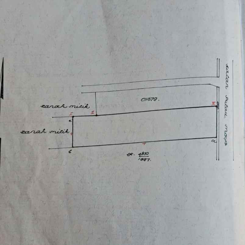 disewakan tanah jl raya pulau moyo
