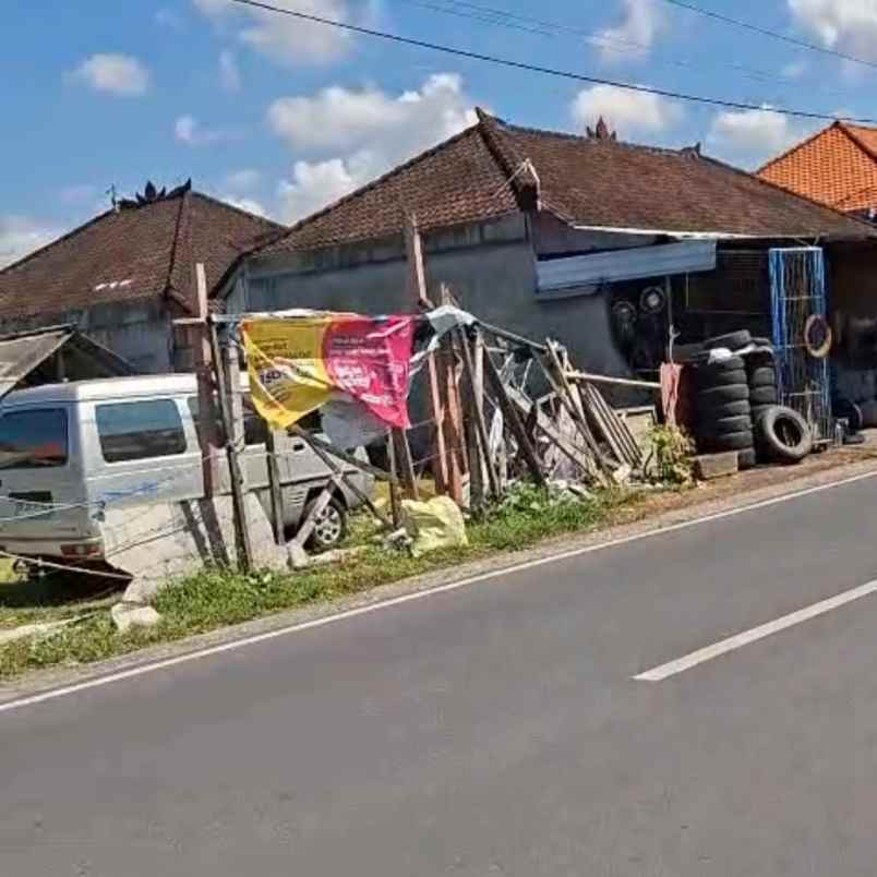 disewakan tanah jl raya pulau moyo