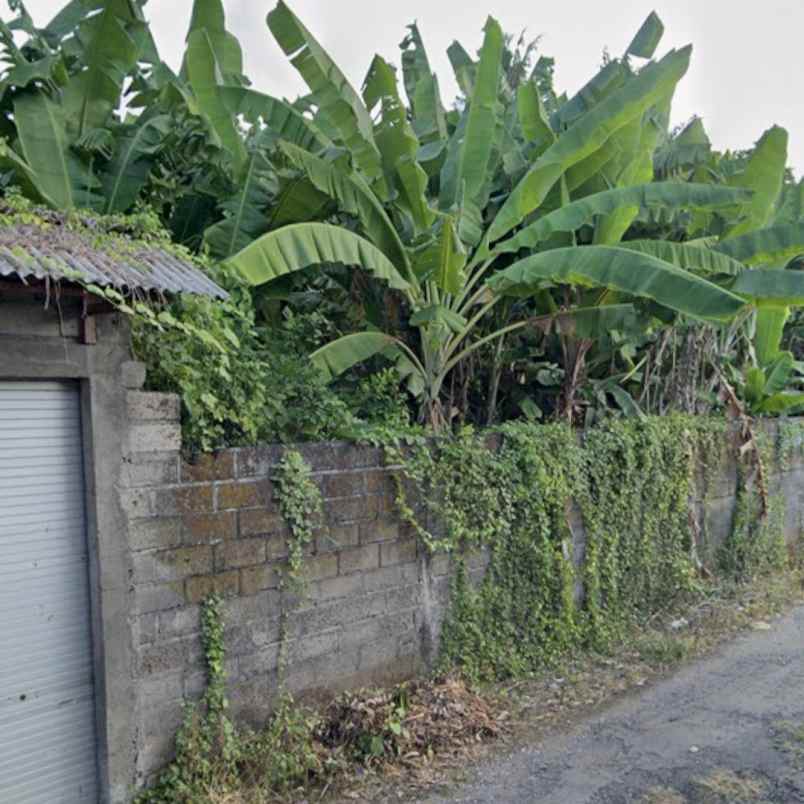 disewakan tanah pulau saelus