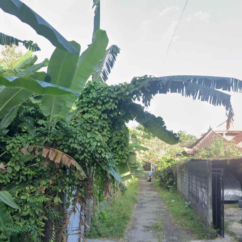 disewakan tanah pulau saelus