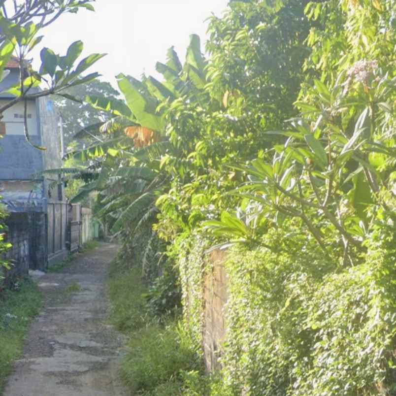 disewakan tanah pulau saelus