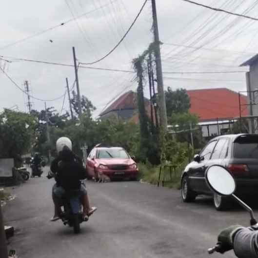 disewakan tanah pura demak