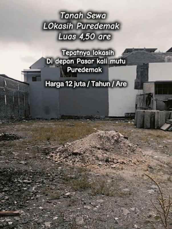 disewakan tanah pura demak