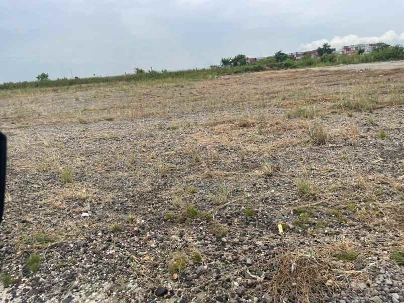 disewakan tanah tambak osowilangun