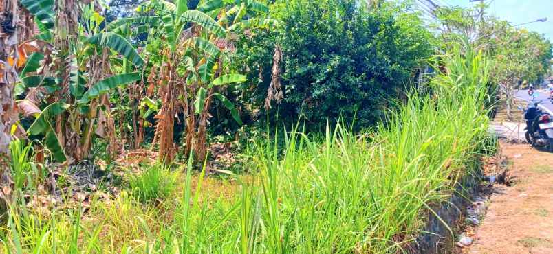 disewakan tanah werdi bhuwana mengwi