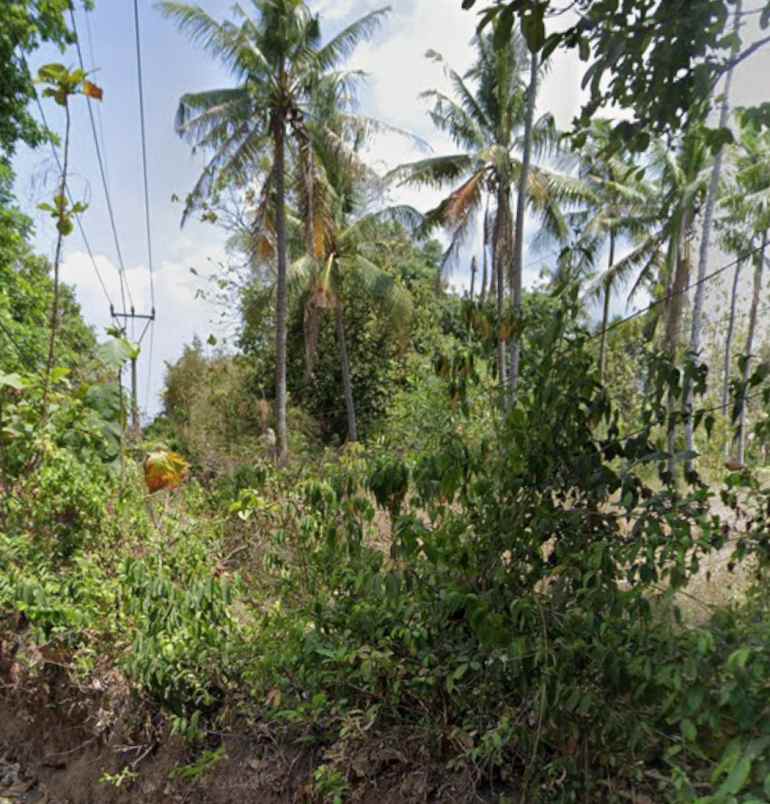 jual tanah di jln sunan bonang