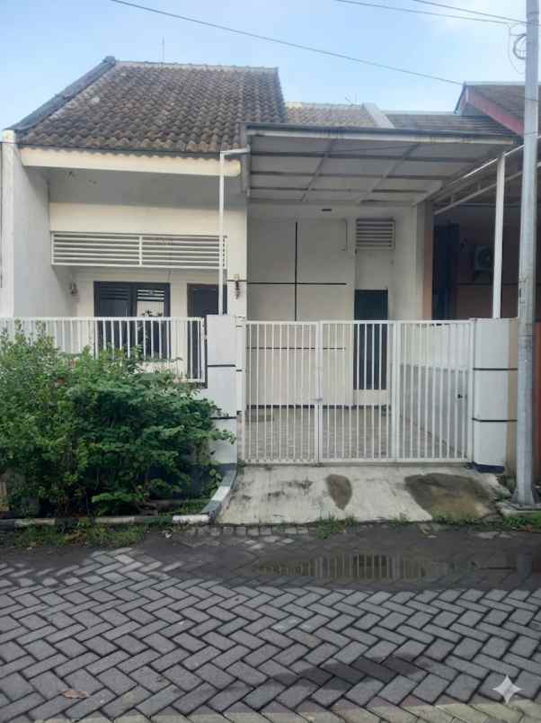 jual termurah di wiguna