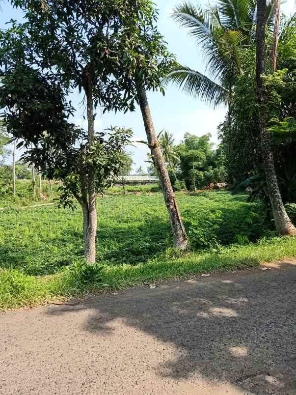 lahan kebun strategis nempel jln desa