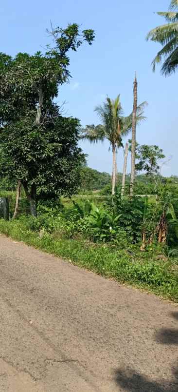 lahan kebun strategis nempel jln desa