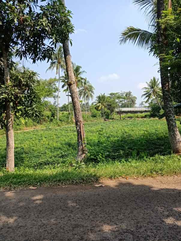 lahan kebun strategis nempel jln desa