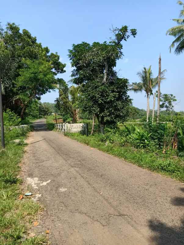 lahan kebun strategis nempel jln desa