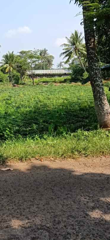 lahan kebun strategis nempel jln desa