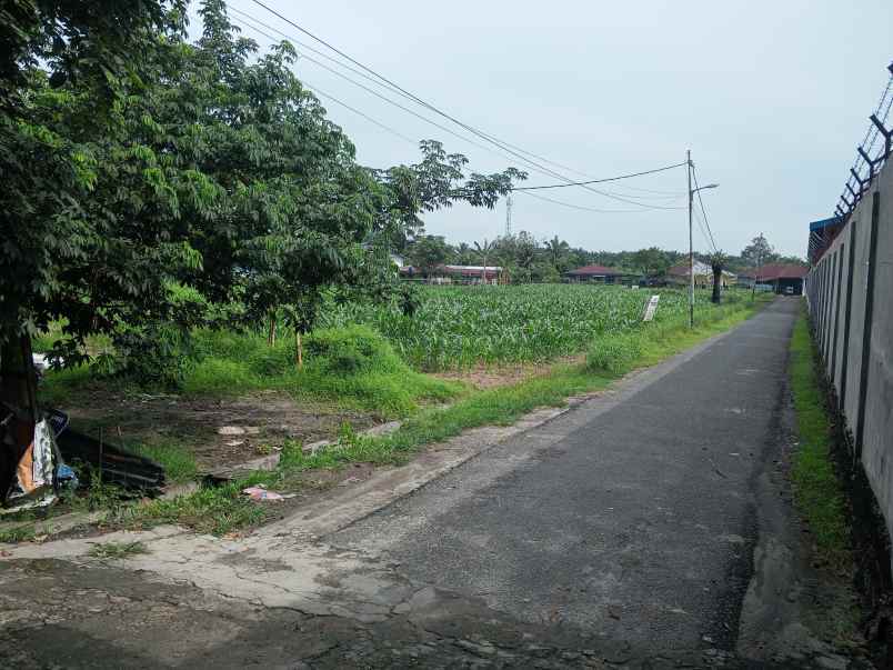 lahan kosong untuk dijual
