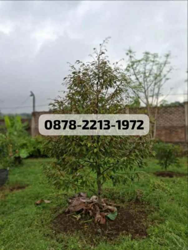 rumah bagus untuk villa di banjaran bandung