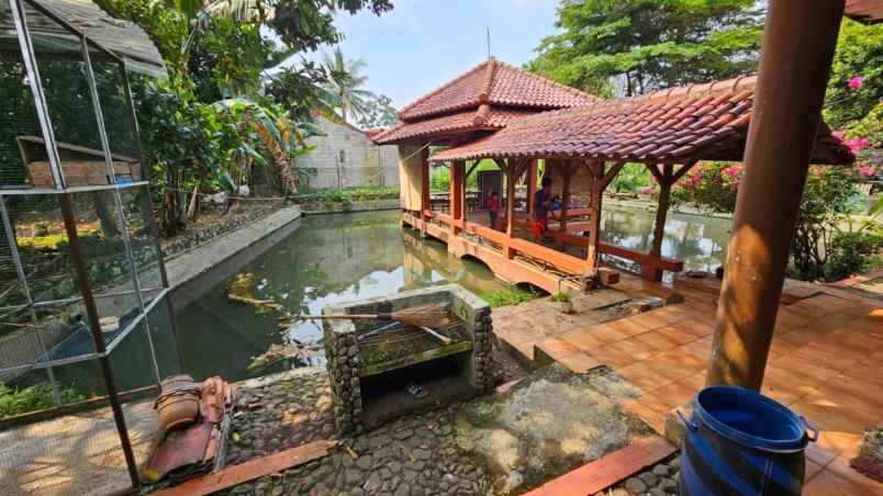 rumah tanah investasi 2600 m ciampea bogor