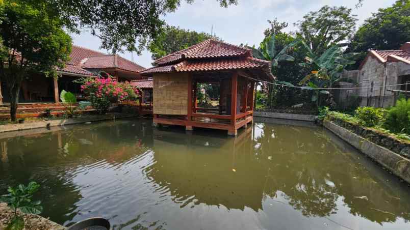 rumah tanah investasi 2600 m ciampea bogor