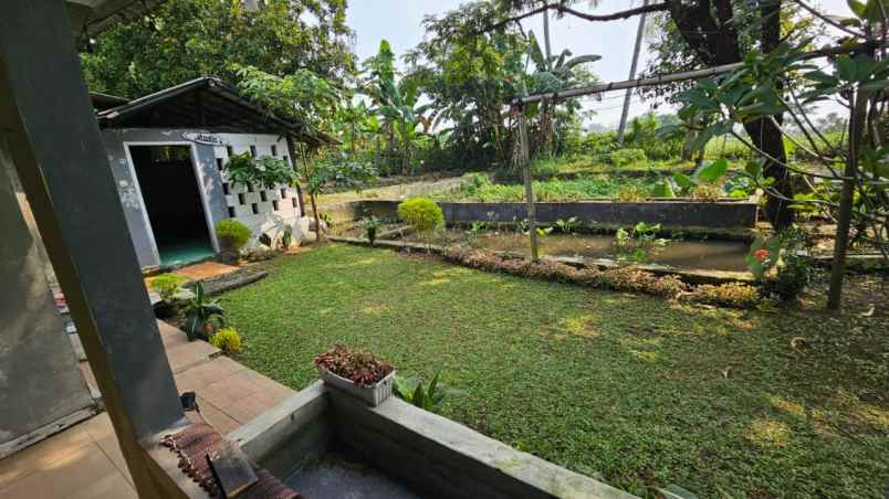 rumah tanah investasi 2600 m ciampea bogor