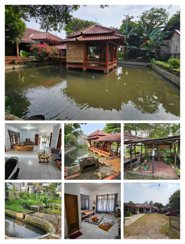 rumah tanah investasi 2600 m ciampea bogor