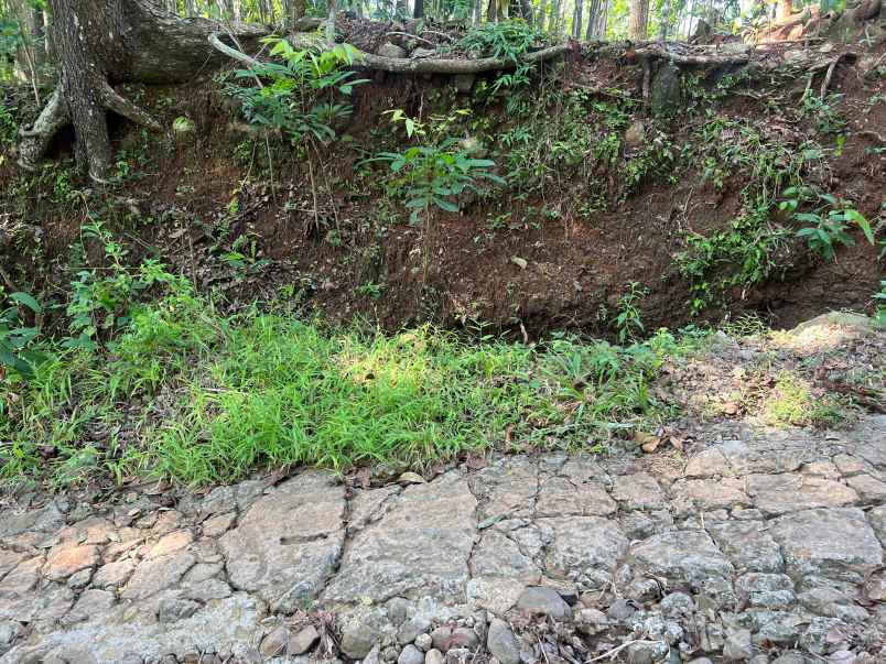 super murah tanah datar hanya 50jt kedawung sragen