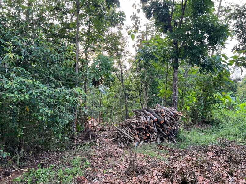 tanah 1355m 300 juta utara pasar matesih karanganyar