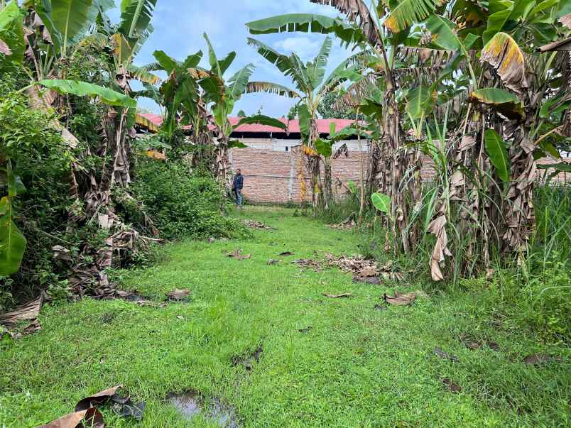 tanah 250 juta dekat alun alun sragen