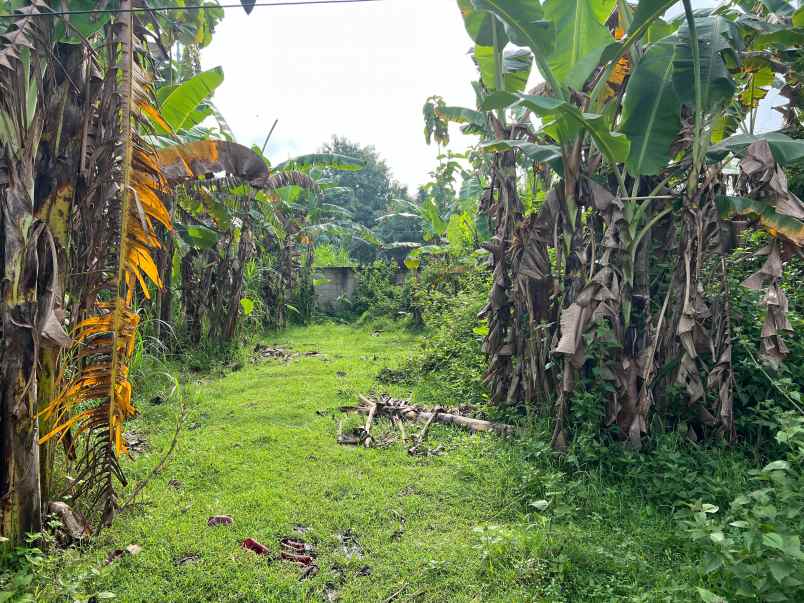 tanah 250 juta dekat alun alun sragen