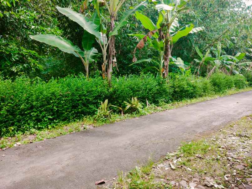 tanah barat pasar plangsalam