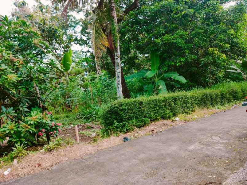 tanah barat pasar plangsalam