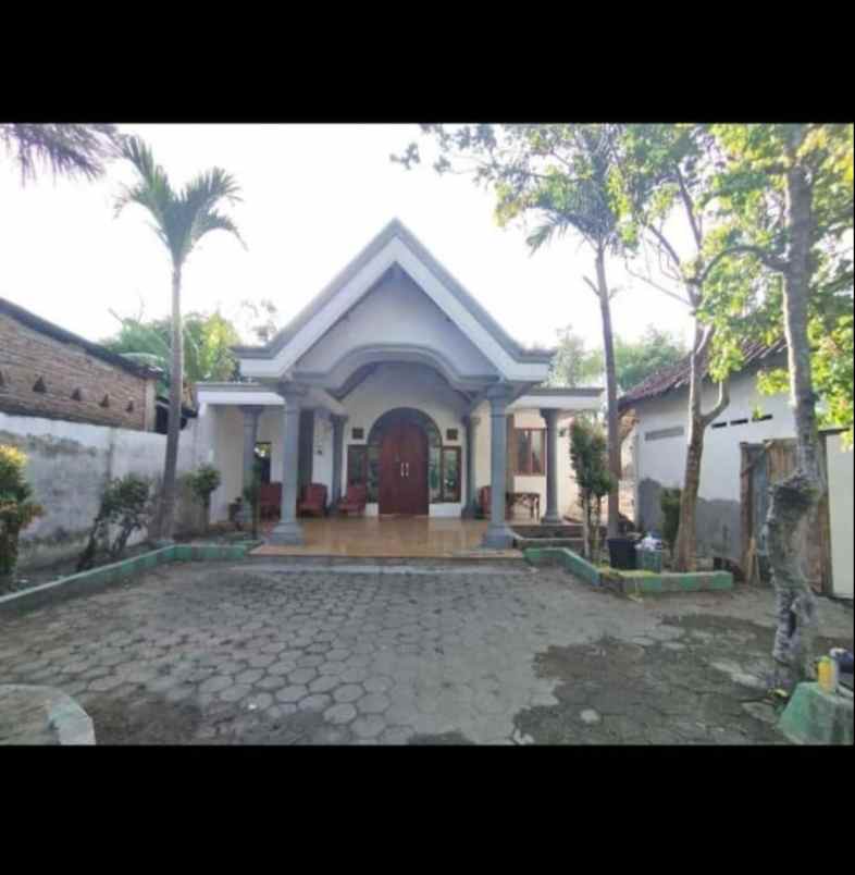 tanah dan rumah di jombang daerah gudo bebas banjir