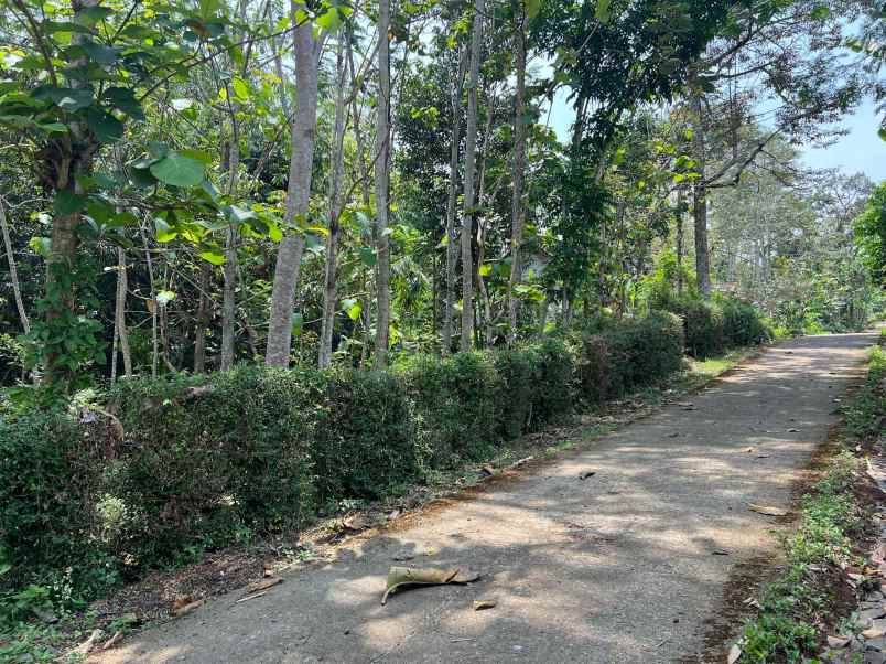 tanah datar 2305m 350 juta karanganyar