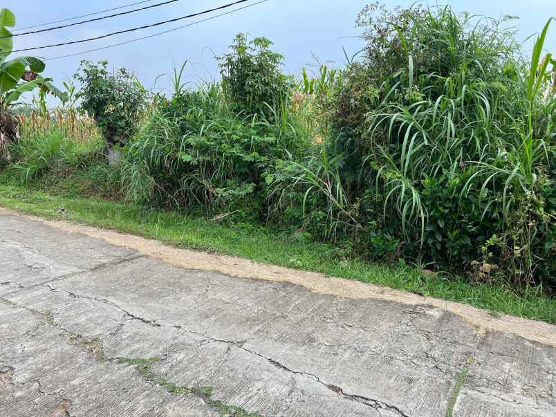 tanah datar kerjo karanganyar 3350m siap bangun