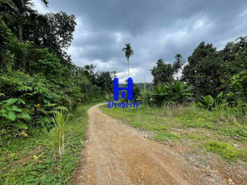 tanah dijual di jalan namorambe sembahe deli serdang