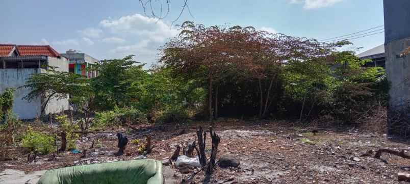 tanah disurabaya barat prospek