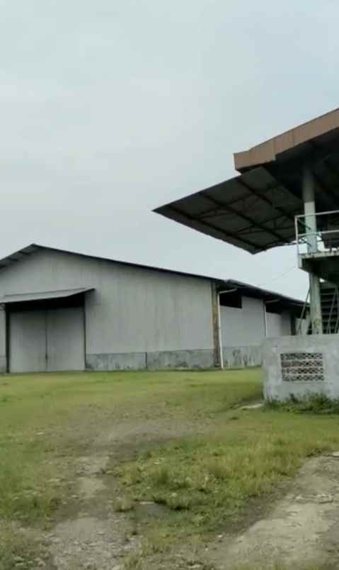 tanah jln cirebon losari pantura