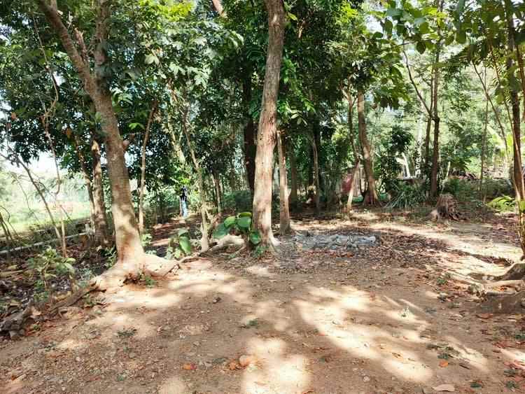 tanah karangpelem kedawung sragen