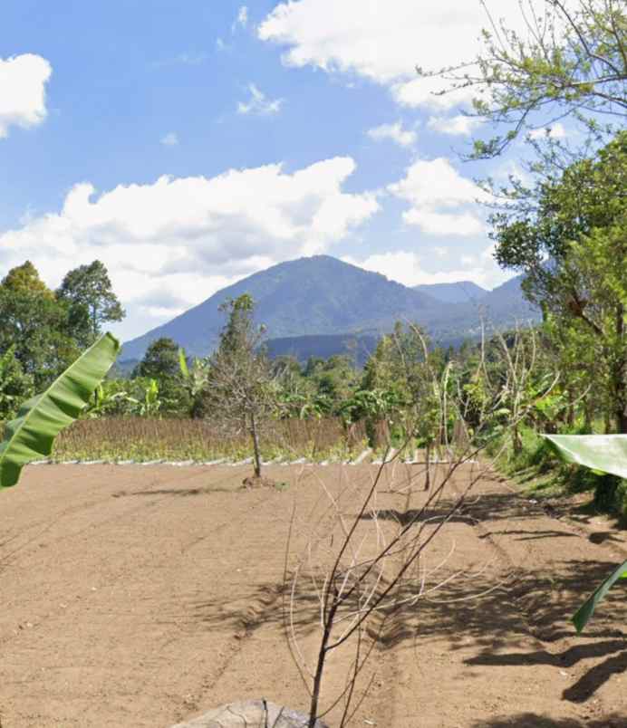 tanah kebun view gunung di baturiti dekat bedugul bali