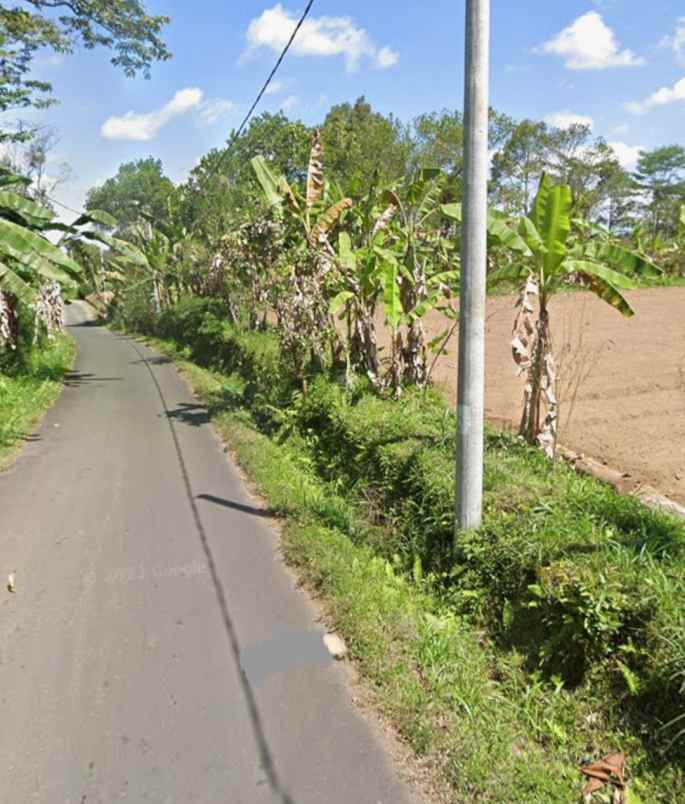 tanah kebun view gunung di baturiti dekat bedugul bali