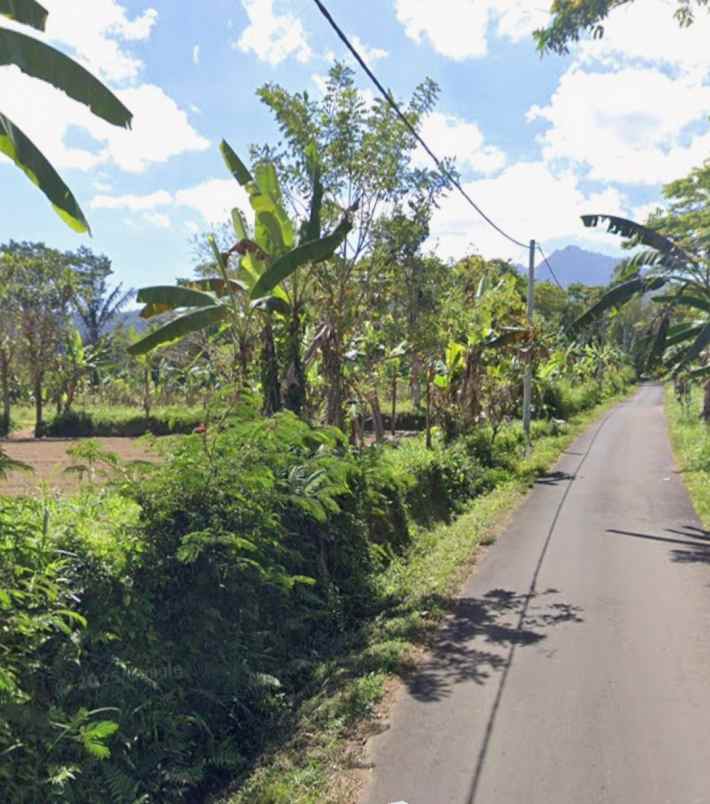 tanah kebun view gunung di baturiti dekat bedugul bali