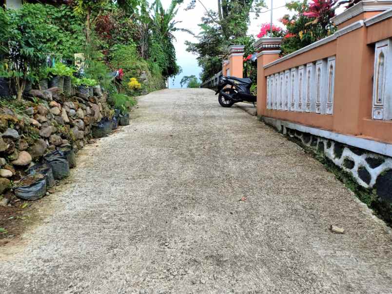 tanah kemuning ngargoyoso