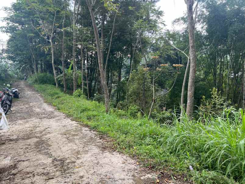 tanah lingkungan asri udara dingin kemuning ngargoyoso