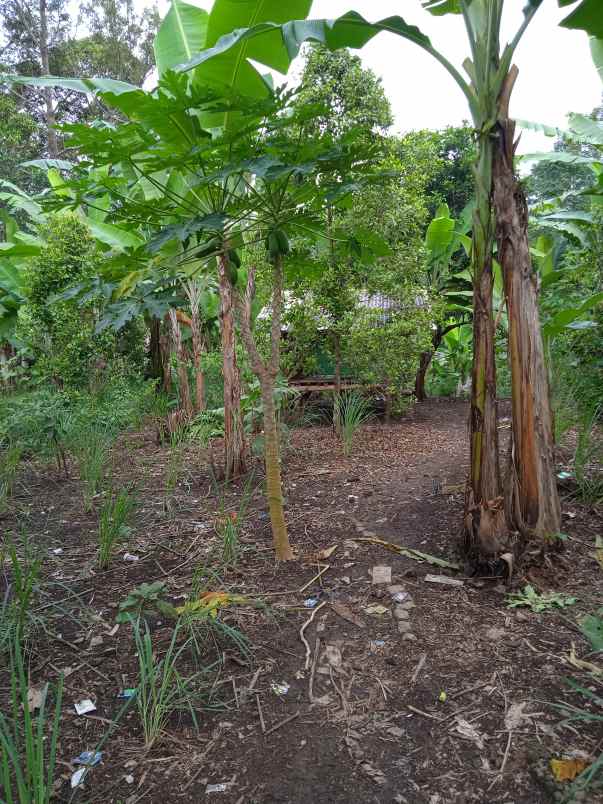 tanah luas 18 ha di batu putu bandar lampung