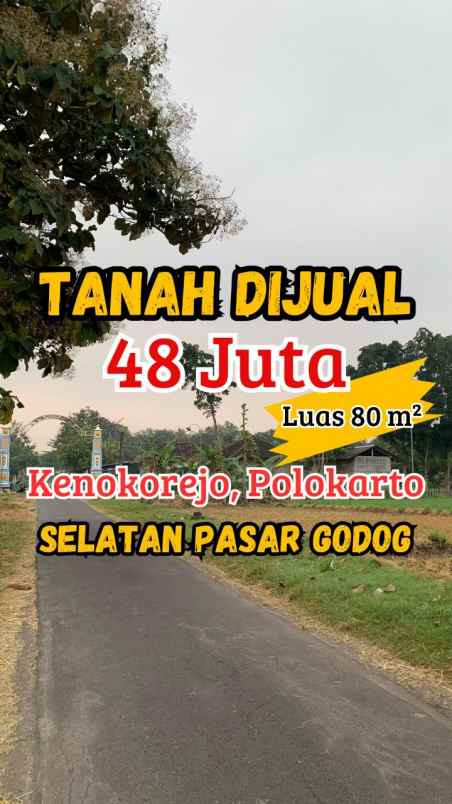 tanah murah kenokorejo polokarto