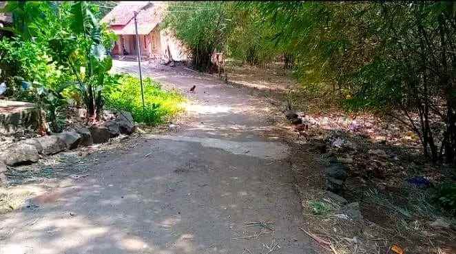 tanah murah rata dan padat pinggir jl desa