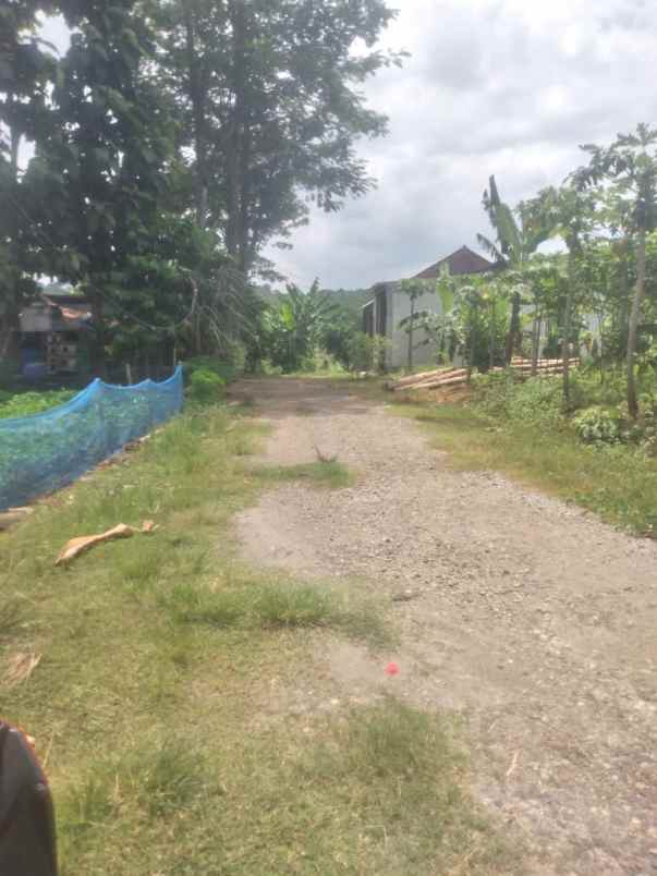 tanah murah wates ngaliyan semarang