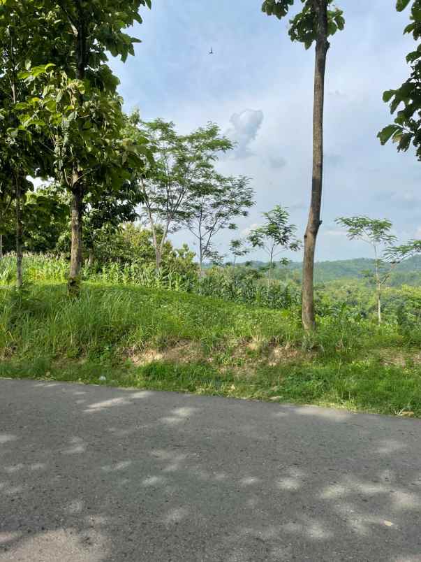 tanah strategis buka usaha 2622m sambirejo sragen