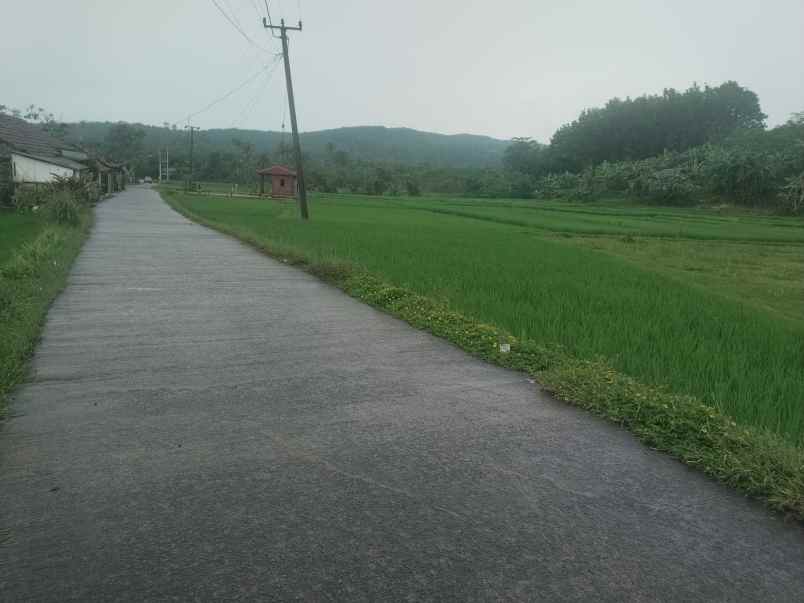 tanah sumber mata air panas purwakarta jawa barat