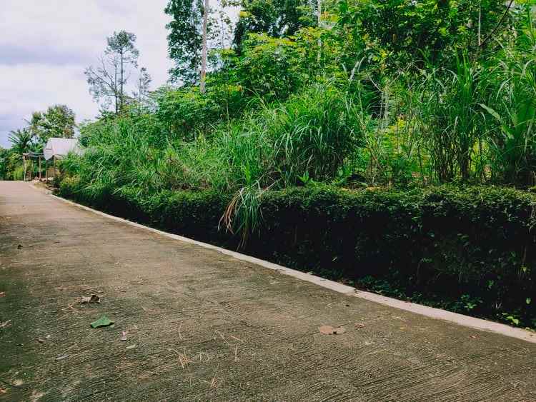 tanah utara pasar mojogedang