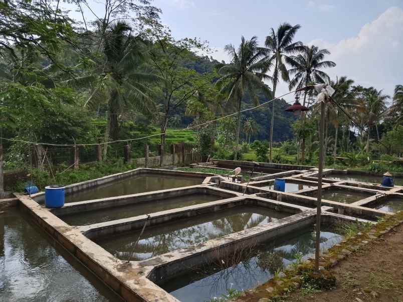 vila kolam ikan view hamparan gunung subang