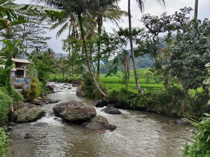 vila kolam ikan view hamparan gunung subang