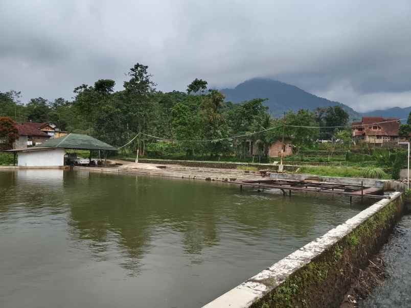 vila kolam ikan view hamparan gunung subang